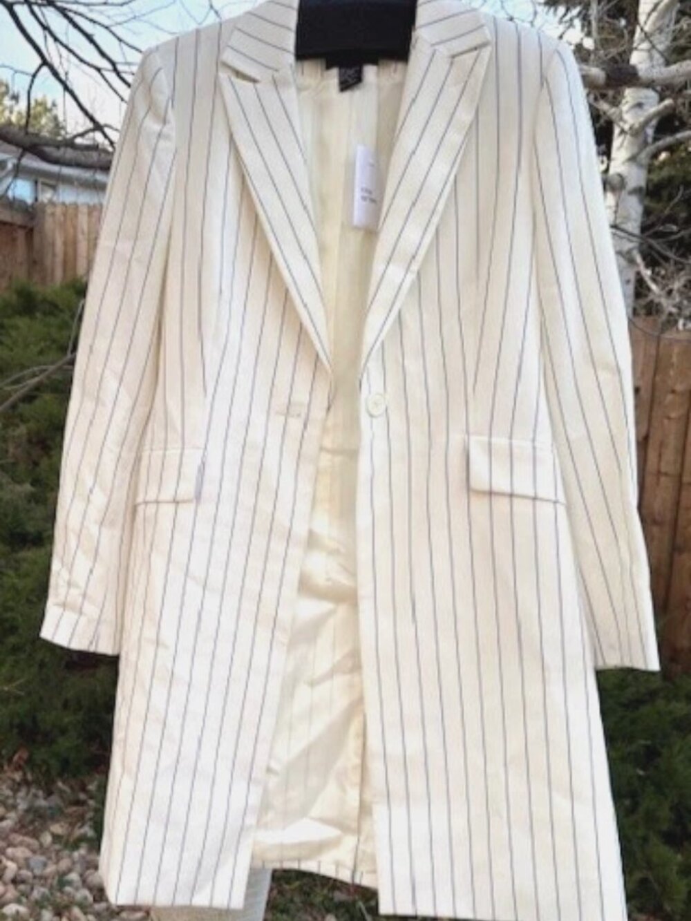 NWOT Moda International (Victoria's Secret) ivory/navy pinstripe pantsuit  sz4p